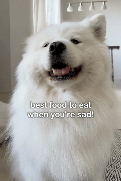 Man with a beard smiling confidently against a plain background