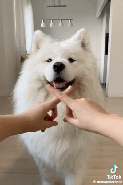 Serious man in black jacket looking at the camera